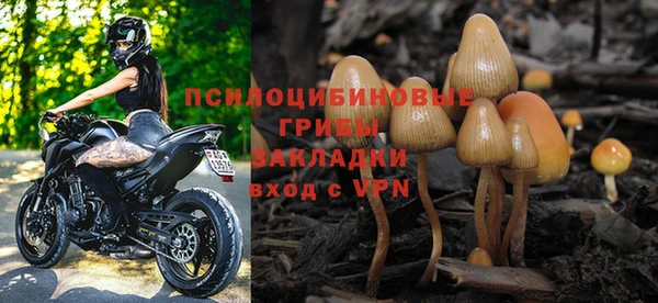 стаф Алзамай