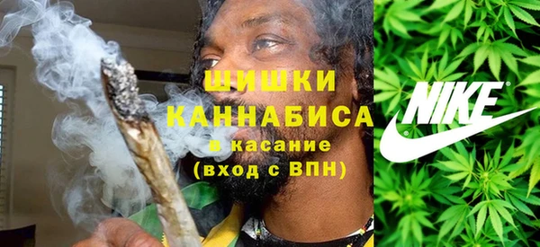 стаф Алзамай