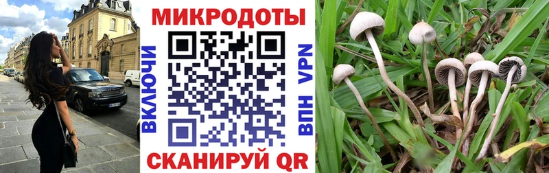 Псилоцибиновые грибы мицелий  Шебекино 